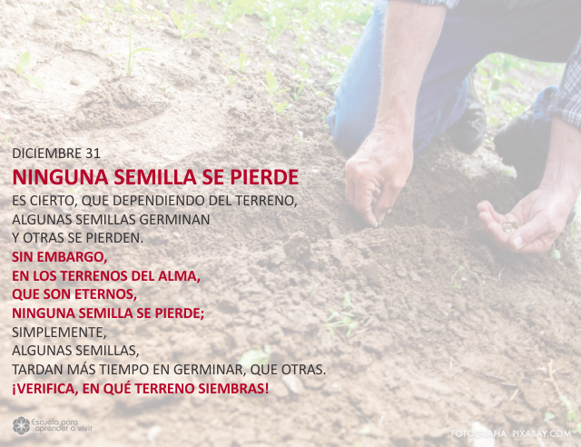 Ninguna semilla se pierde